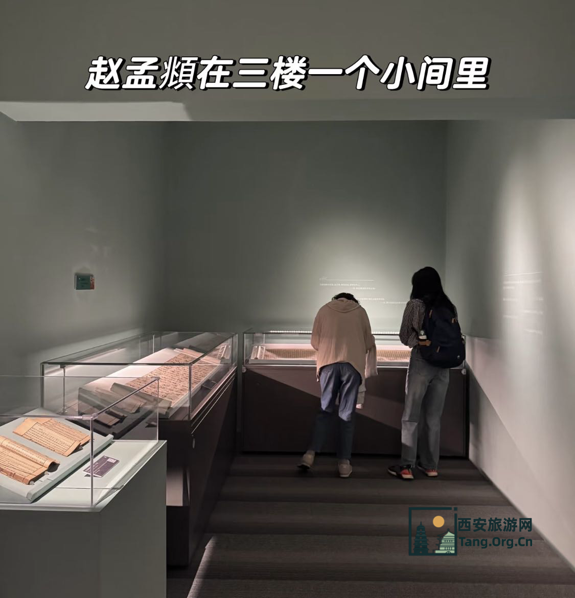 杭州博物馆 | 赵孟頫真迹正在展出 元代的杭州与泉州 4月25日-8月11日