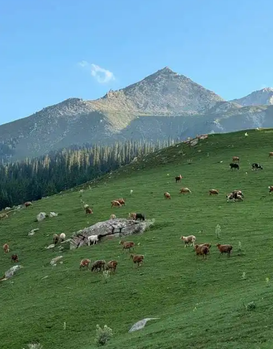 新疆旅游必去景点排名