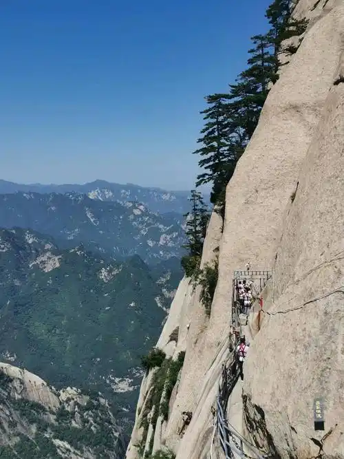 华山的门票是多少