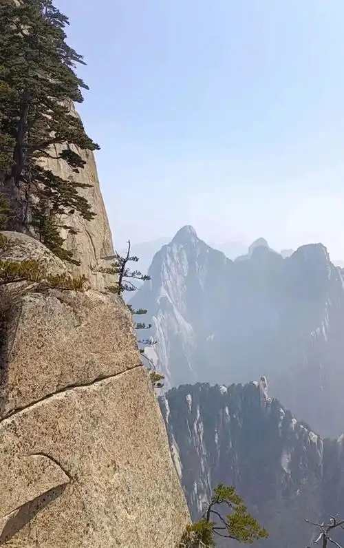 上华山怎么预约核酸检测