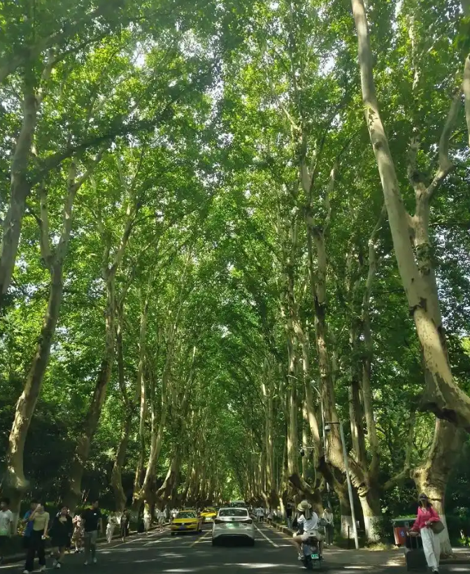 南京海洋馆值得去吗