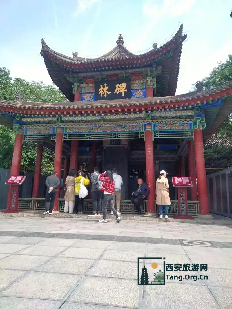 碑林的门票价格
