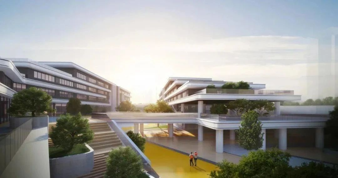 局部微调！2025年曲江新区学区划分附学校简介