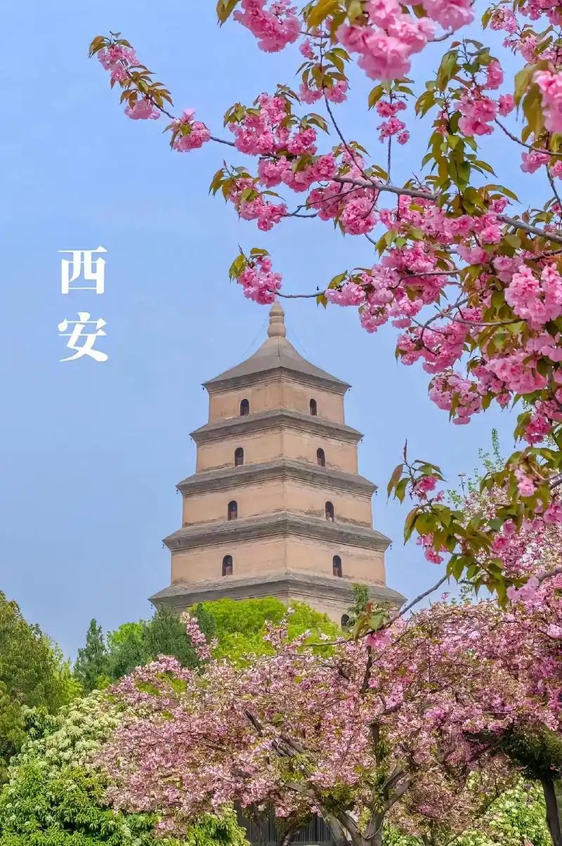 大雁塔位于哪个市