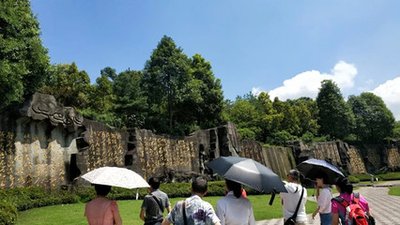 西安碑林国宝档案视频