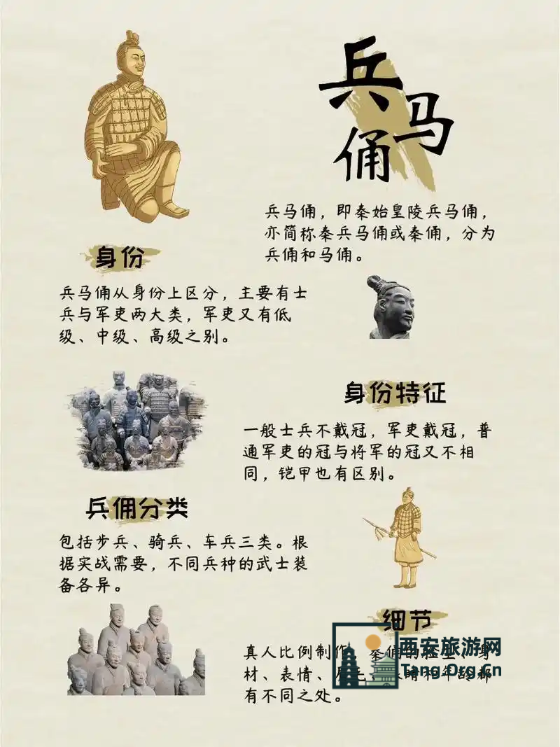 兵马俑的来历故事资料