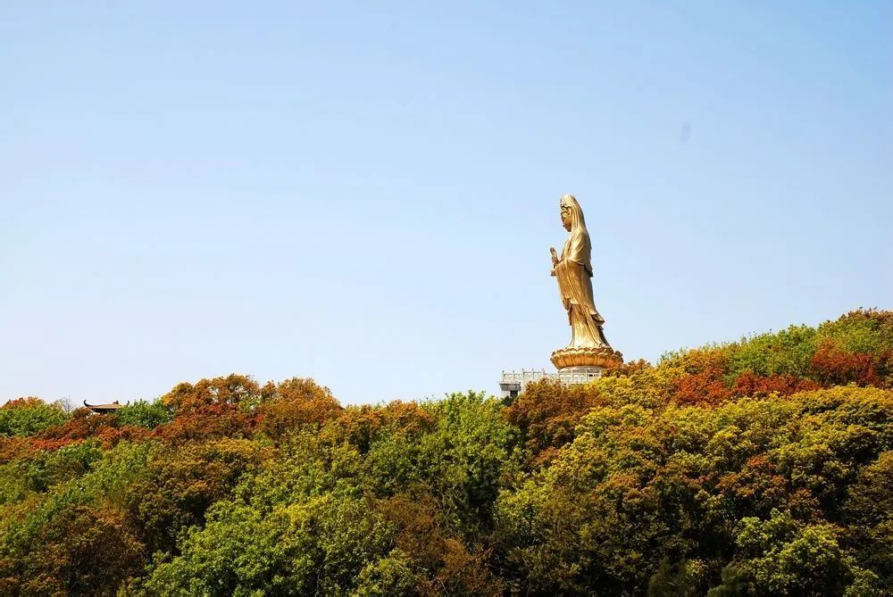 普陀山旅游方式全解析：跟团游 vs 自由行