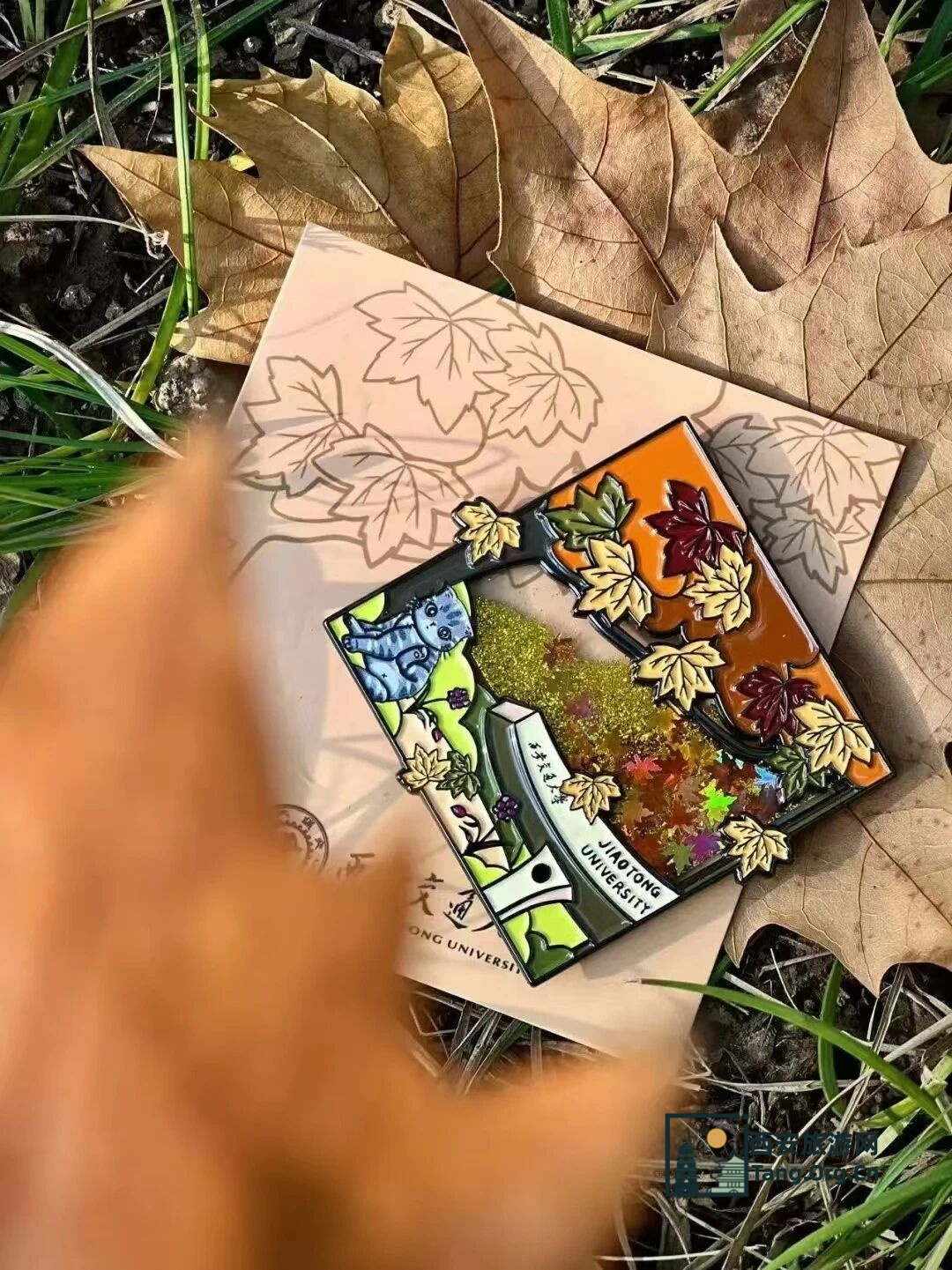 2025西安交通大学第七届金色梧桐节预约参观指南（时间+地点+活动+入口）