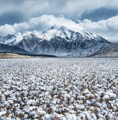 新疆旅游路线规划图
