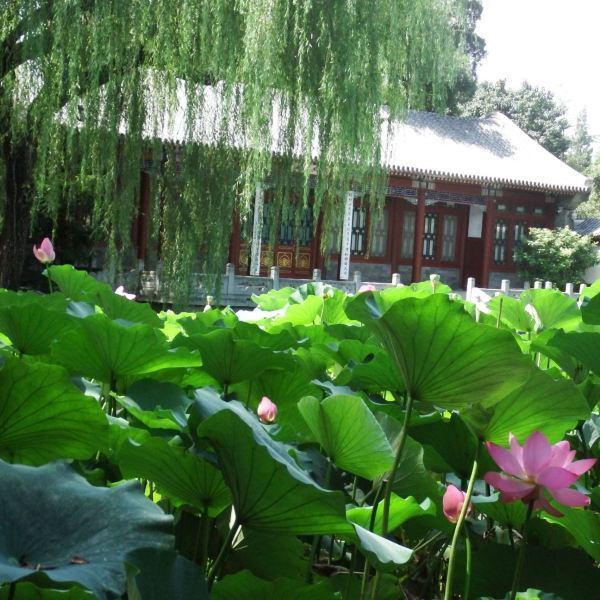 北京清华大学游玩攻略