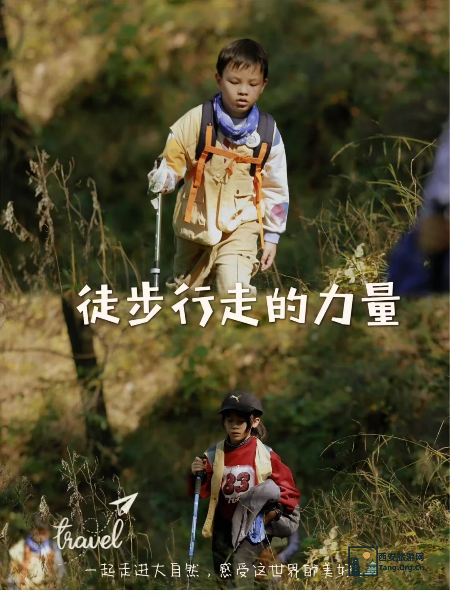 11月23日期秦岭探险家亲子研学报名-古都西安游亲子研学