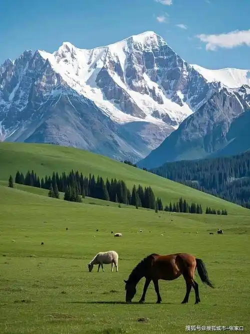 什么时间到新疆旅游最好