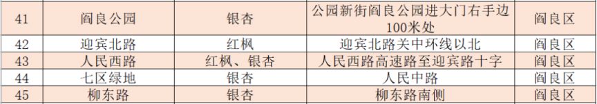 2025西安市各区县落叶缓扫地点汇总