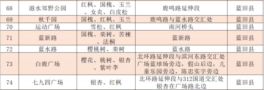 2025西安市各区县落叶缓扫地点汇总