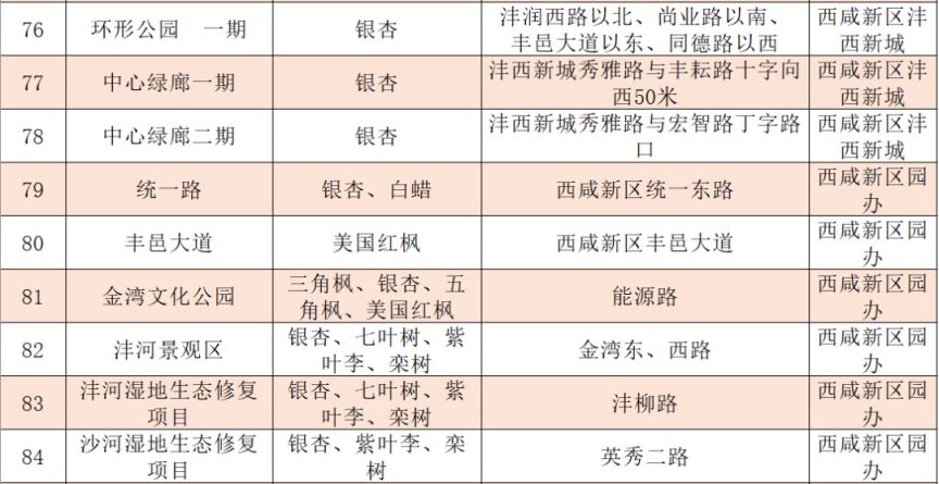 2025西安市各区县落叶缓扫地点汇总