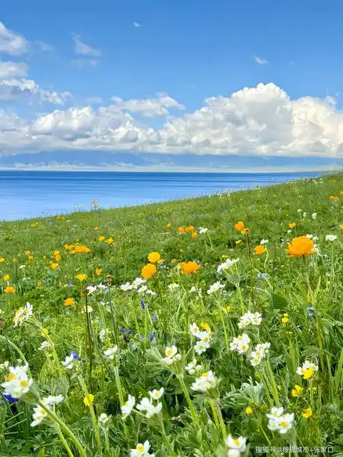 新疆游玩最佳季节