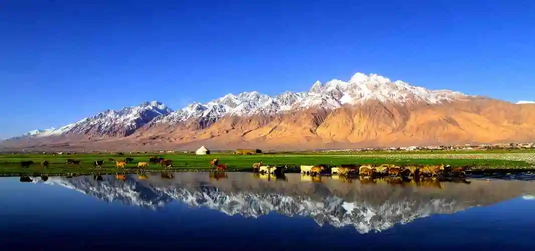 新疆正规旅行社有哪些