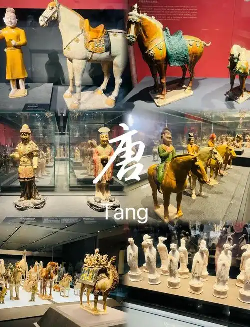 西安博物馆门票多少钱