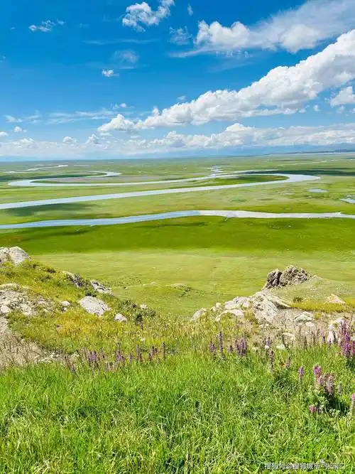 新疆旅游怎么玩