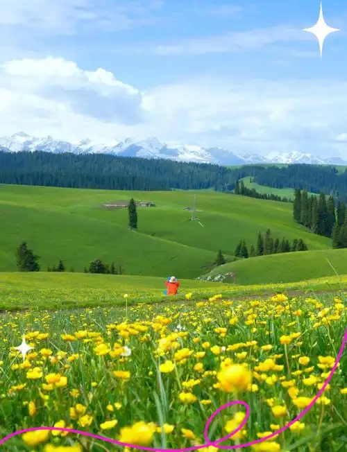 去新疆必买的10件东西