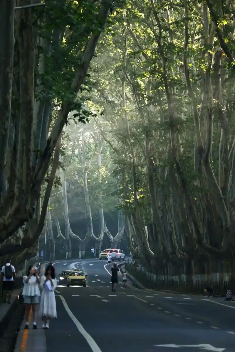 南京必去的5个景点门票多少钱
