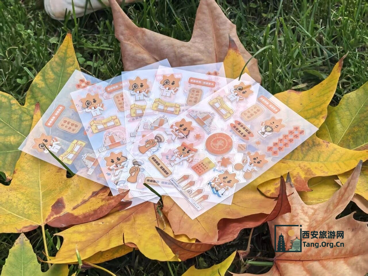 2025西安交通大学第七届金色梧桐节预约参观指南（时间+地点+活动+入口）