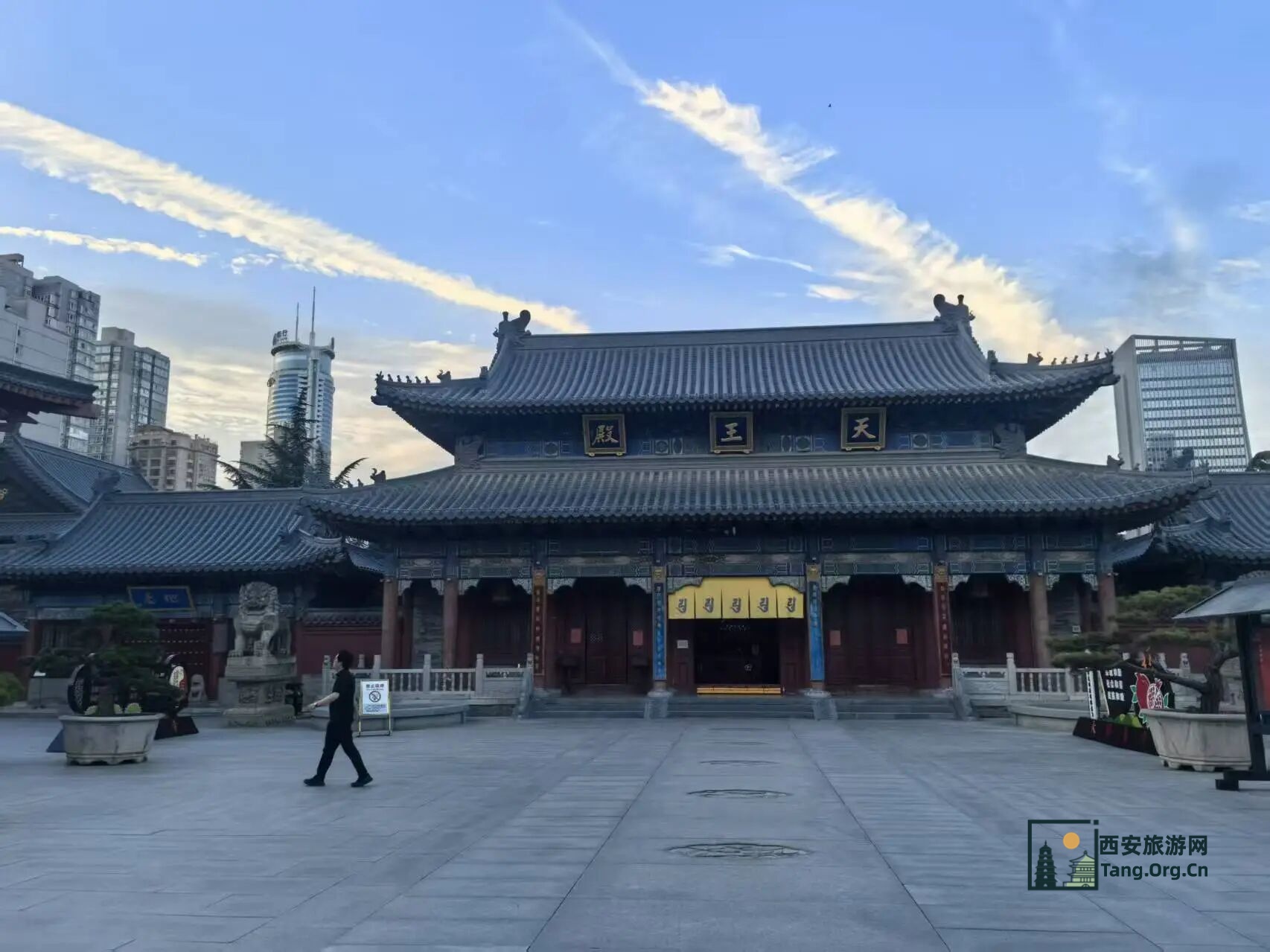 这个假期，约不上陕西历史博物馆门票？那就去寺庙里撸猫吧！