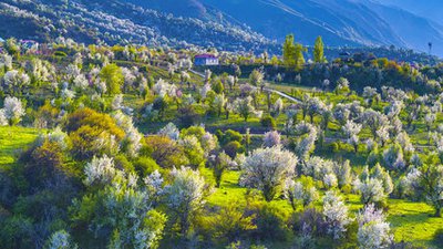 新疆旅游15天自驾游