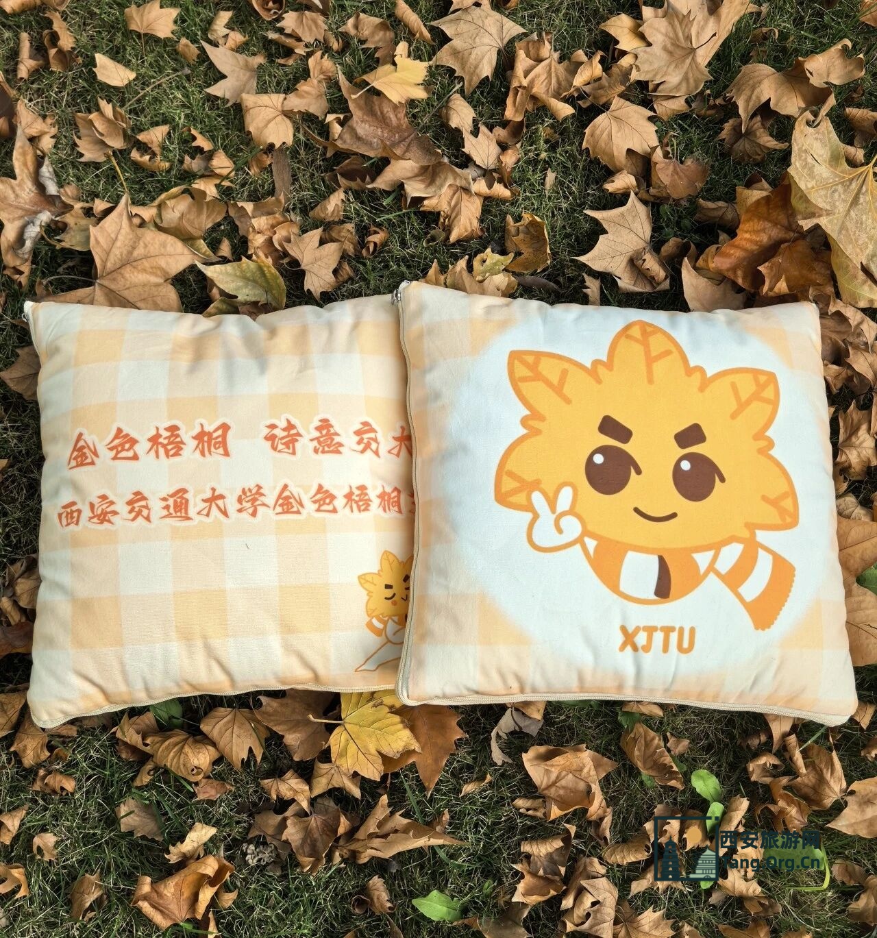 2025西安交通大学第七届金色梧桐节预约参观指南（时间+地点+活动+入口）