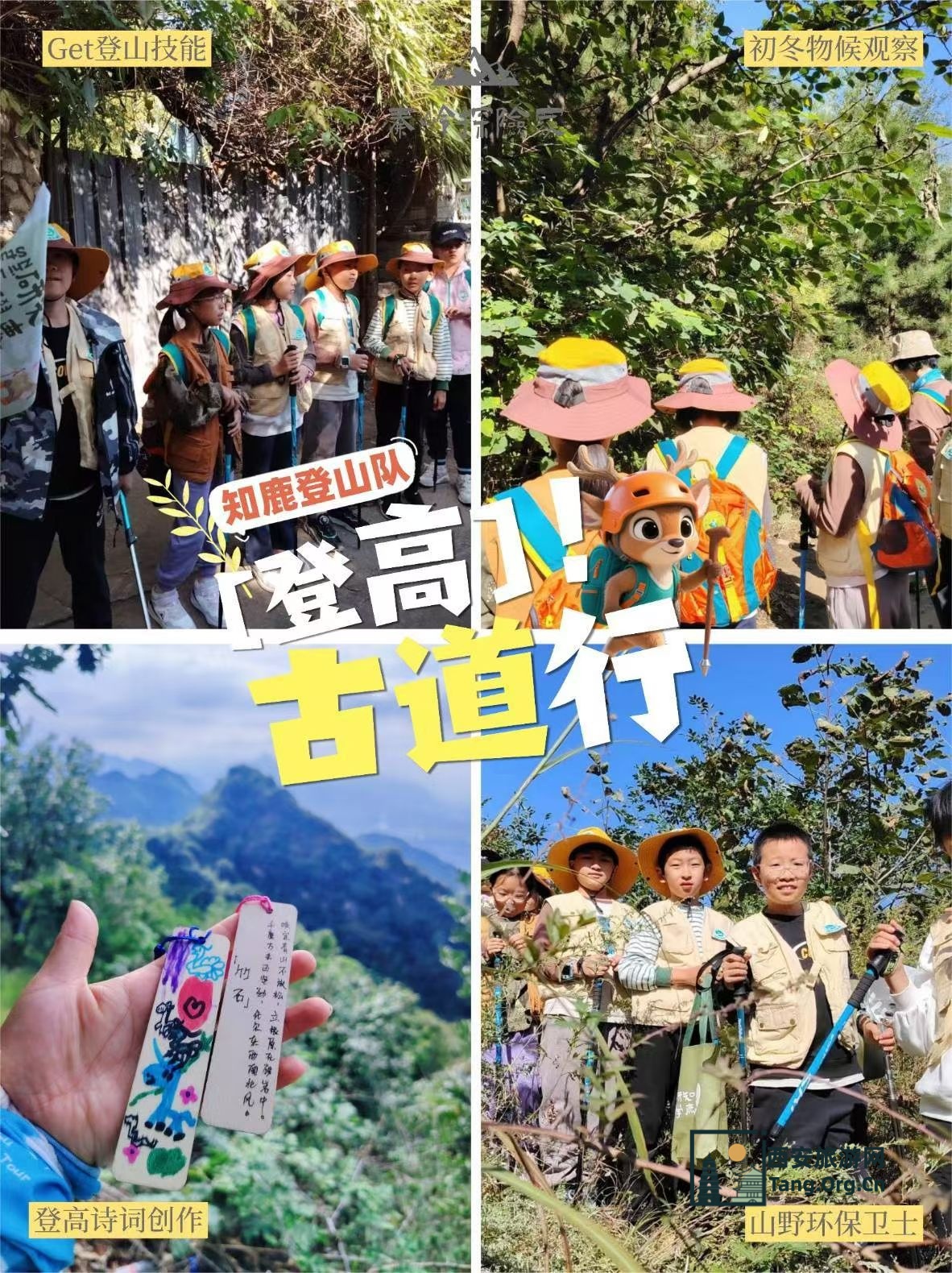 11月23日期秦岭探险家亲子研学报名-古都西安游亲子研学