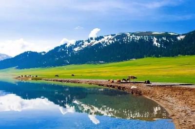 新疆旅游一个星期多少钱