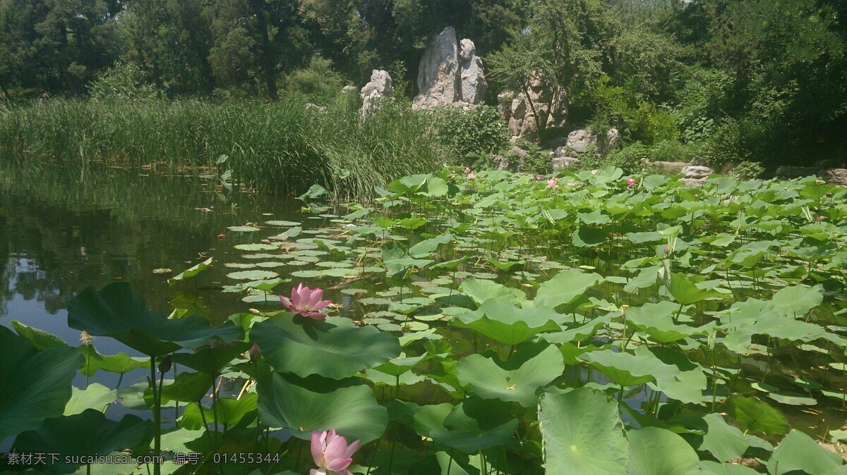 北京清华大学游玩攻略