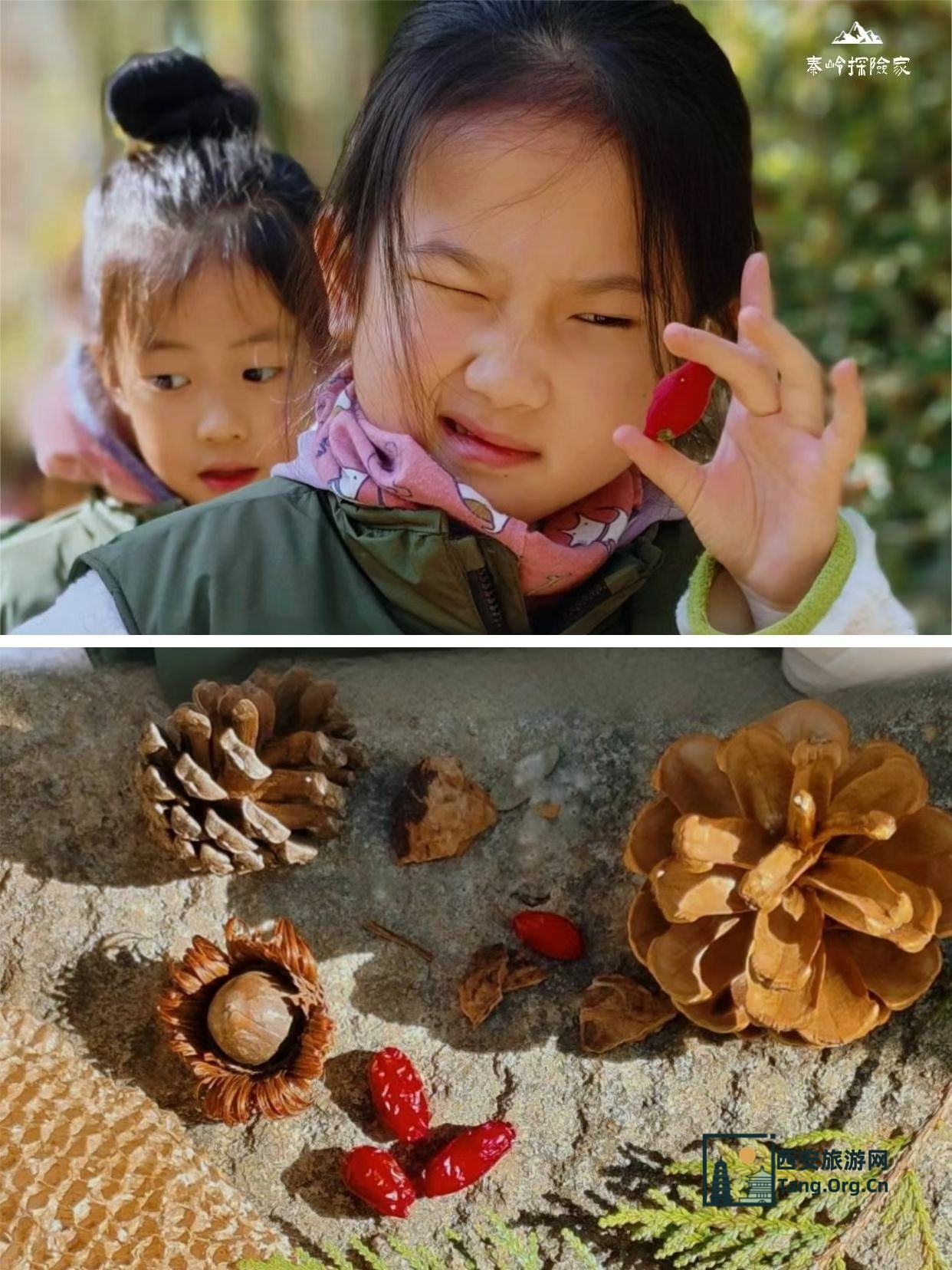 11月23日期秦岭探险家亲子研学报名-古都西安游亲子研学