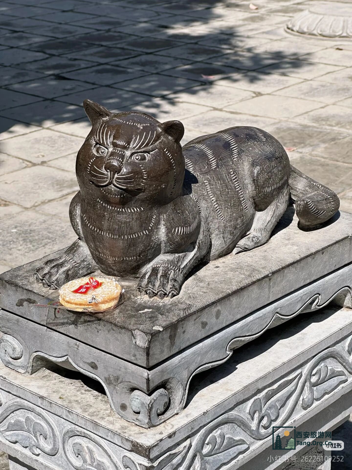 这个假期，约不上陕西历史博物馆门票？那就去寺庙里撸猫吧！