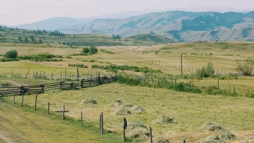 什么时间到新疆旅游最好