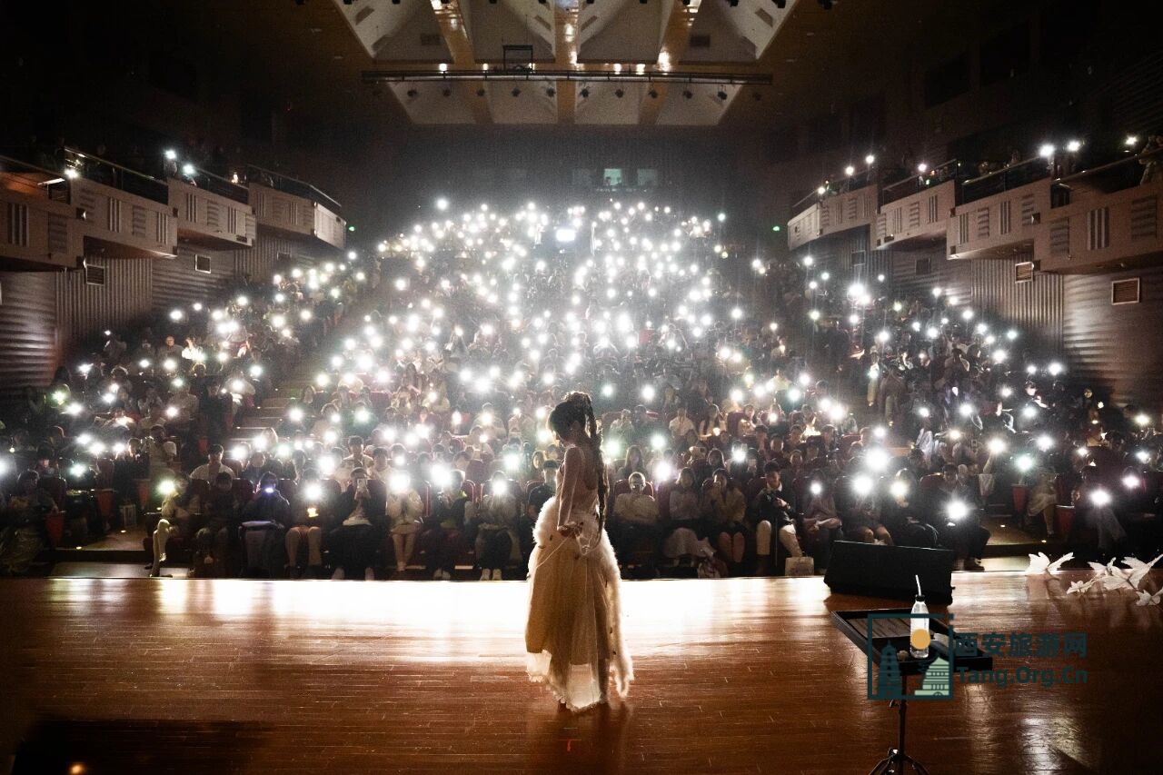 双笙陈元汐2025特别企划丨限定巡回「月光下振翅」11月29日西安站已开票
