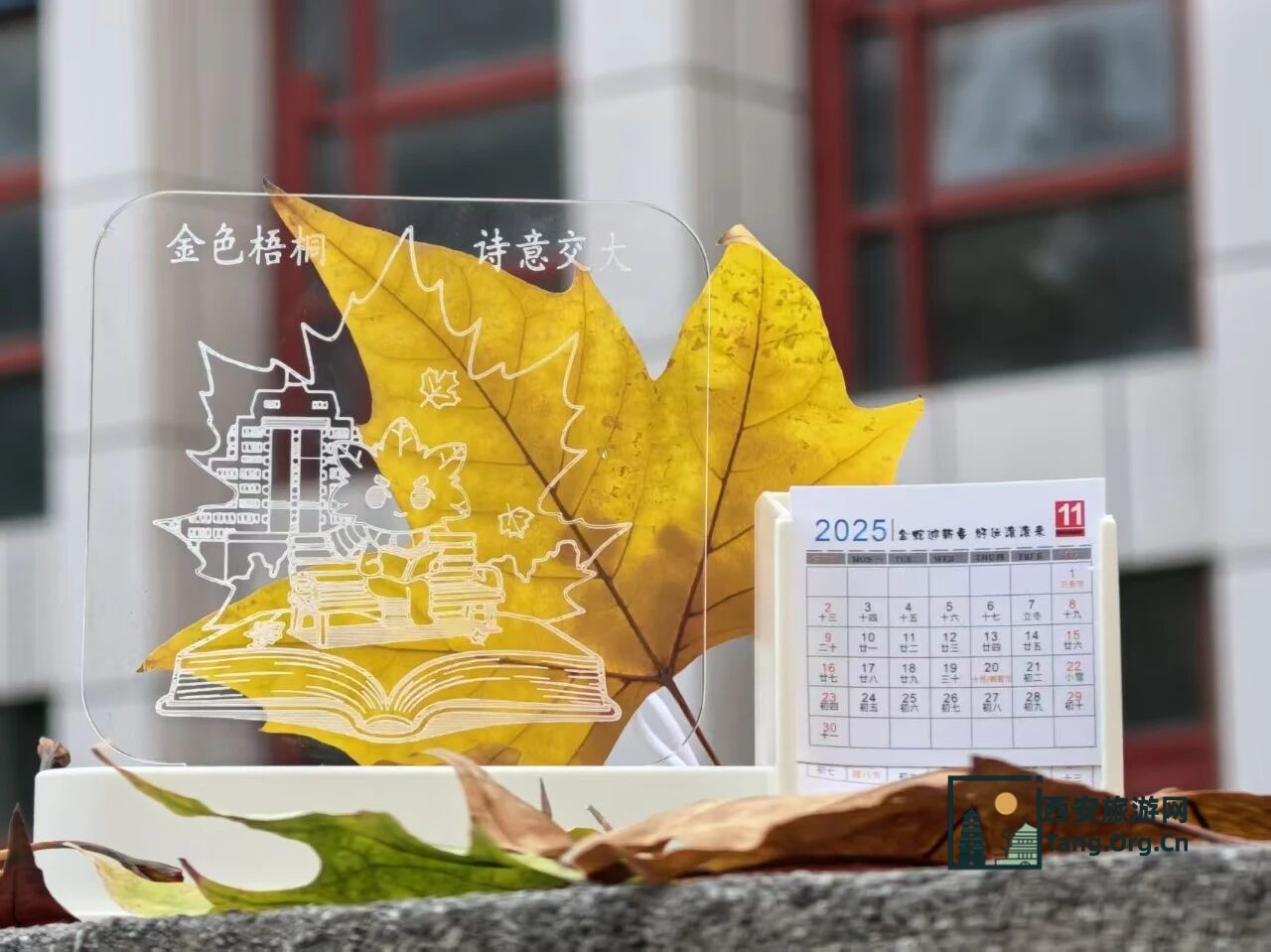 2025西安交通大学第七届金色梧桐节预约参观指南（时间+地点+活动+入口）