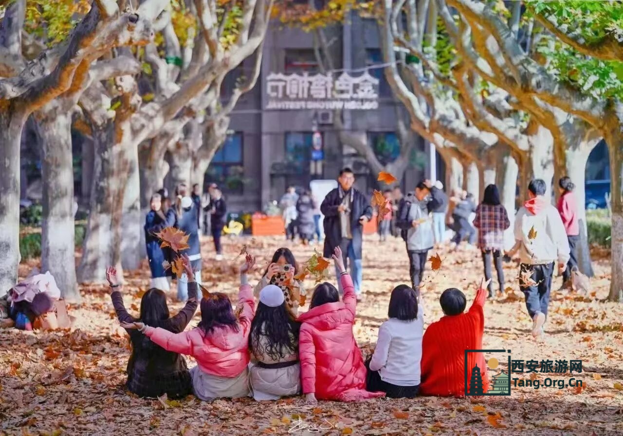 2025西安交通大学第七届金色梧桐节预约参观指南（时间+地点+活动+入口）