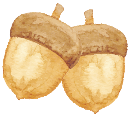 2025西安交通大学第七届金色梧桐节预约参观指南（时间+地点+活动+入口）