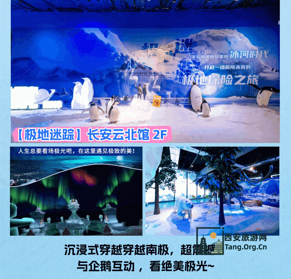 科艺光影盛宴｜西安科技馆最全观影攻略来袭~解锁沉浸式观影奇趣体验！