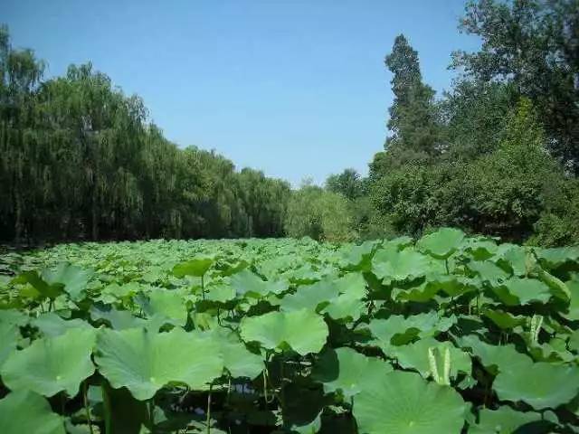 北京清华大学游玩攻略