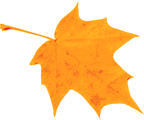 2025西安交通大学第七届金色梧桐节预约参观指南（时间+地点+活动+入口）