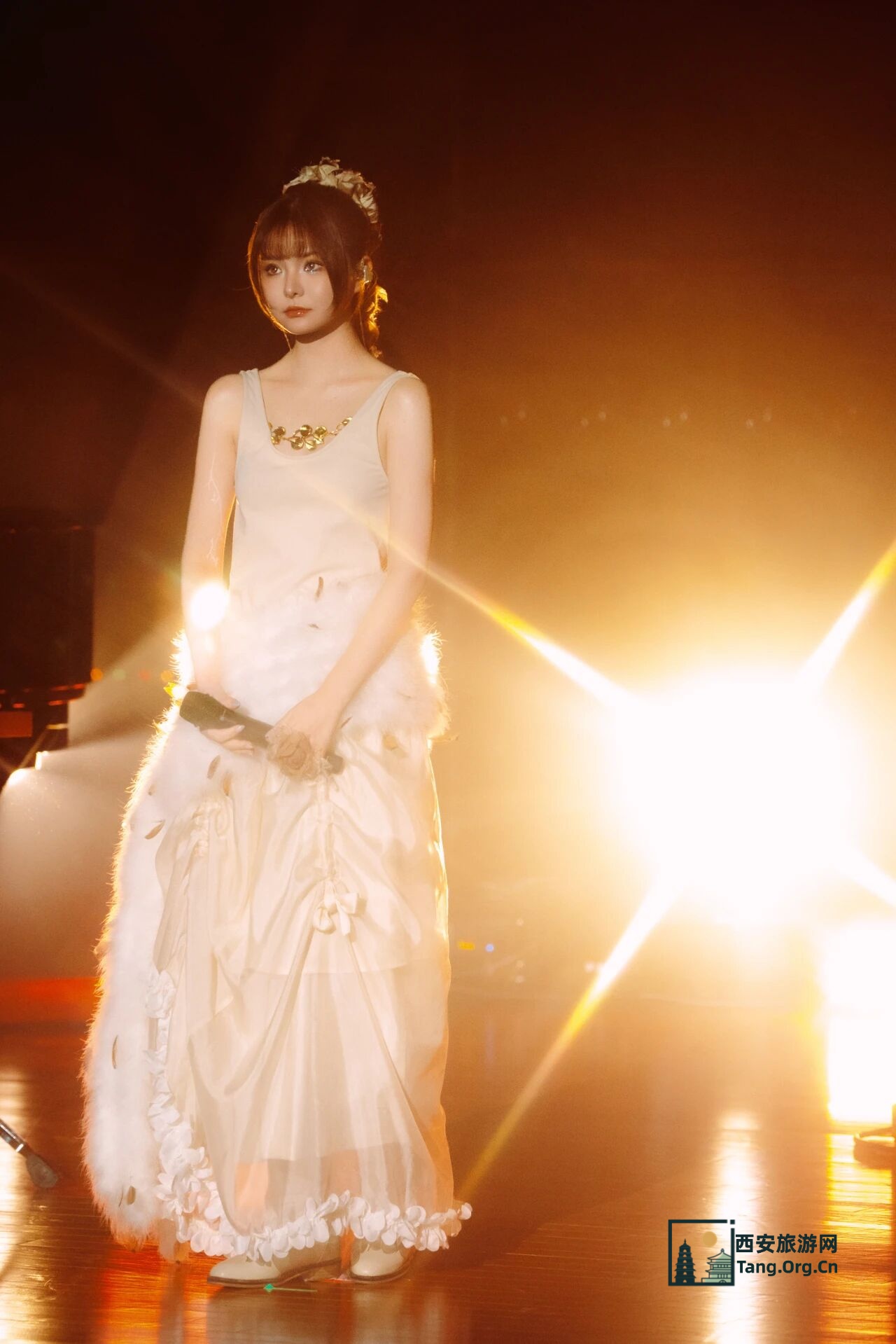 双笙陈元汐2025特别企划丨限定巡回「月光下振翅」11月29日西安站已开票