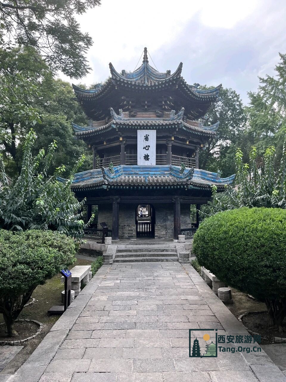 这个假期，约不上陕西历史博物馆门票？那就去寺庙里撸猫吧！