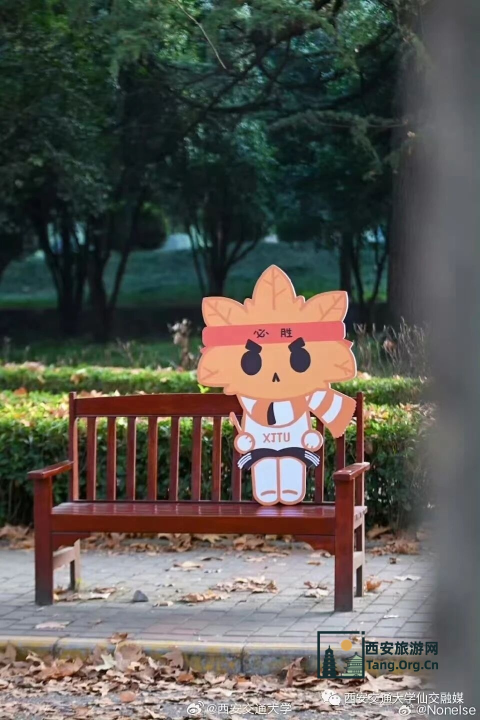 2025西安交通大学第七届金色梧桐节预约参观指南（时间+地点+活动+入口）