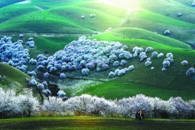 新疆旅游详细攻略图