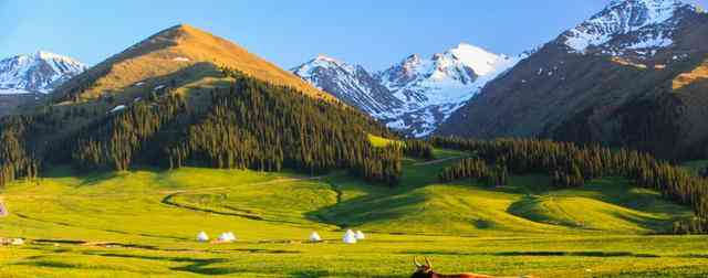 4月新疆春日之旅，邂逅杏花与蓝冰的完美季节