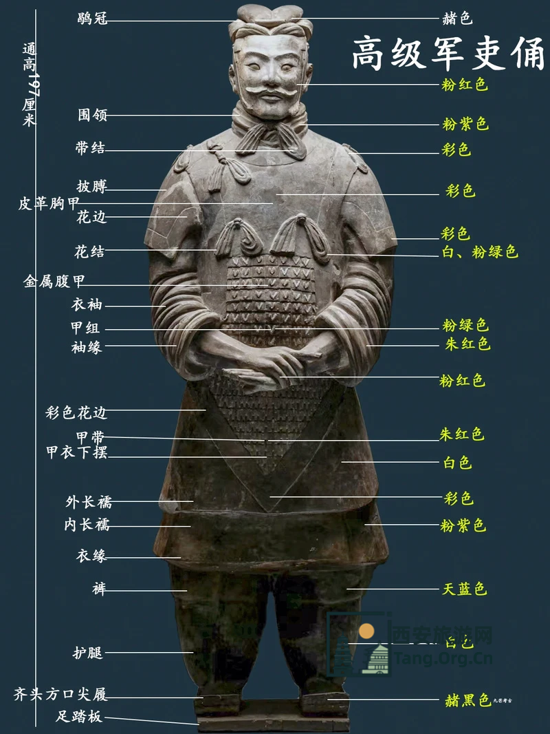 兵马俑的资料介绍