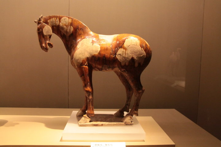 陕西历史博物馆免费门票预约全攻略！手把手教你轻松领票