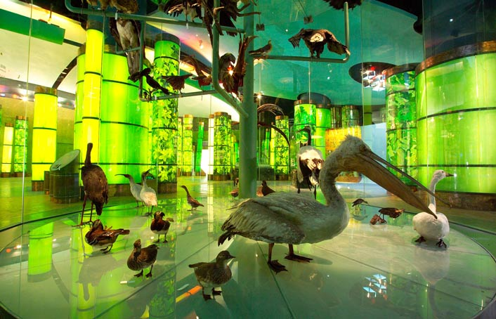 上海科技馆游玩全攻略：寓教于乐的科学殿堂